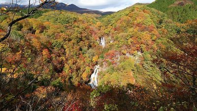 🏞️ 안개 내리는 폭포(키리후리노타키)
